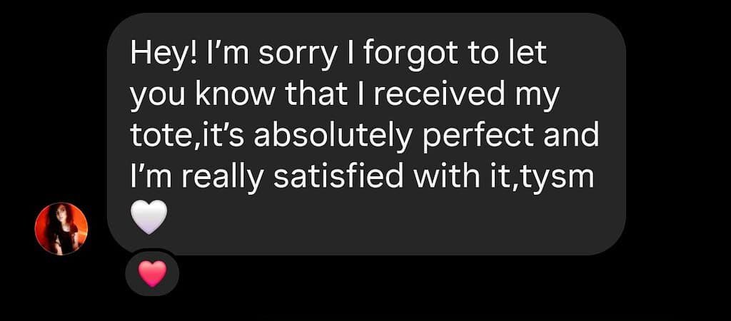 BlingTote customer review from Instagram